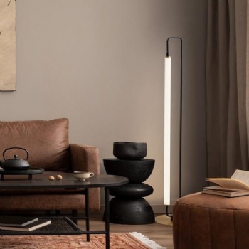 Minimalist Floor Lamp